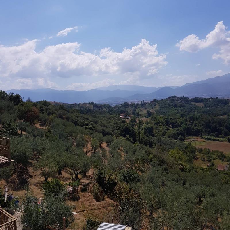 Fotosegnalazione di Paliano
