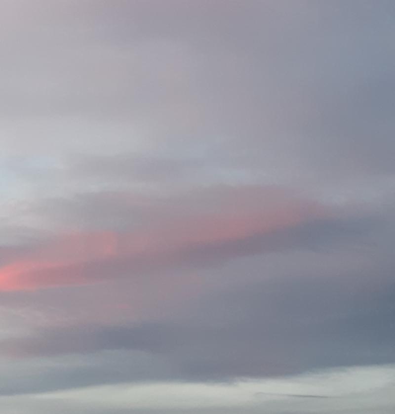 Nuvole rosa