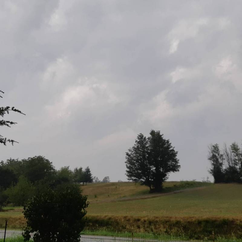 Fotosegnalazione di Alseno
