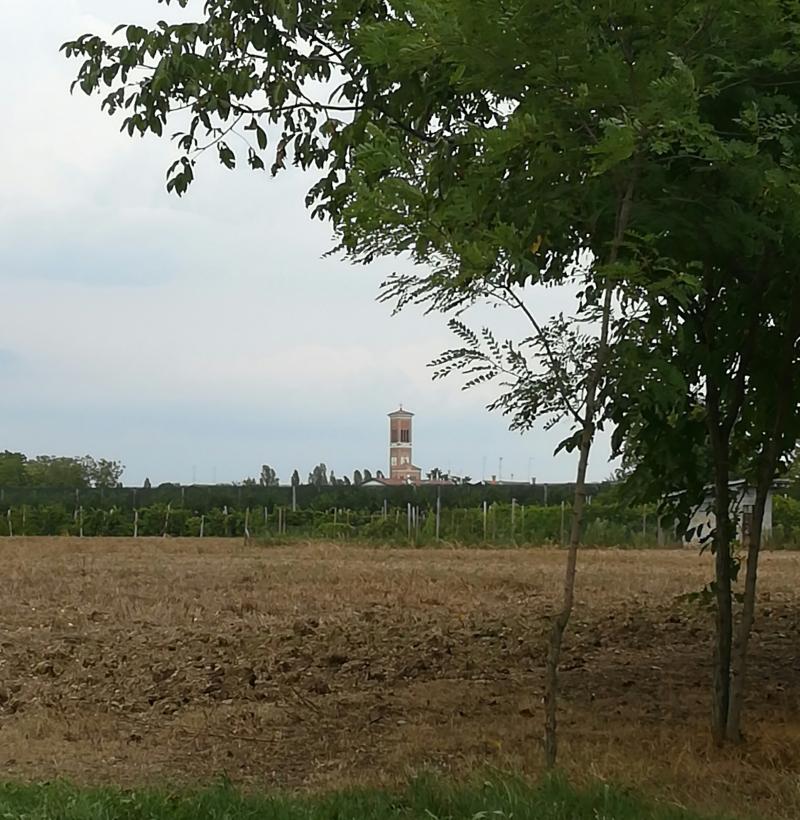 Arcade e la sposina del piave