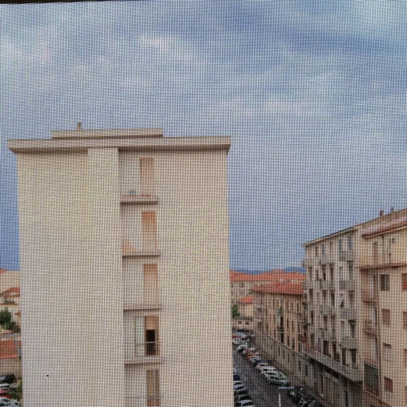 Fotosegnalazione di Firenze