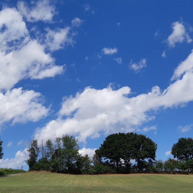 Fotosegnalazione di Alseno