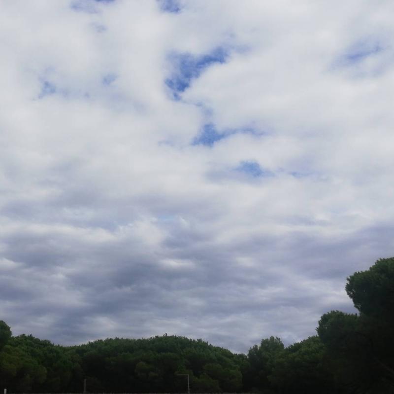 Fotosegnalazione di Marina di bibbona