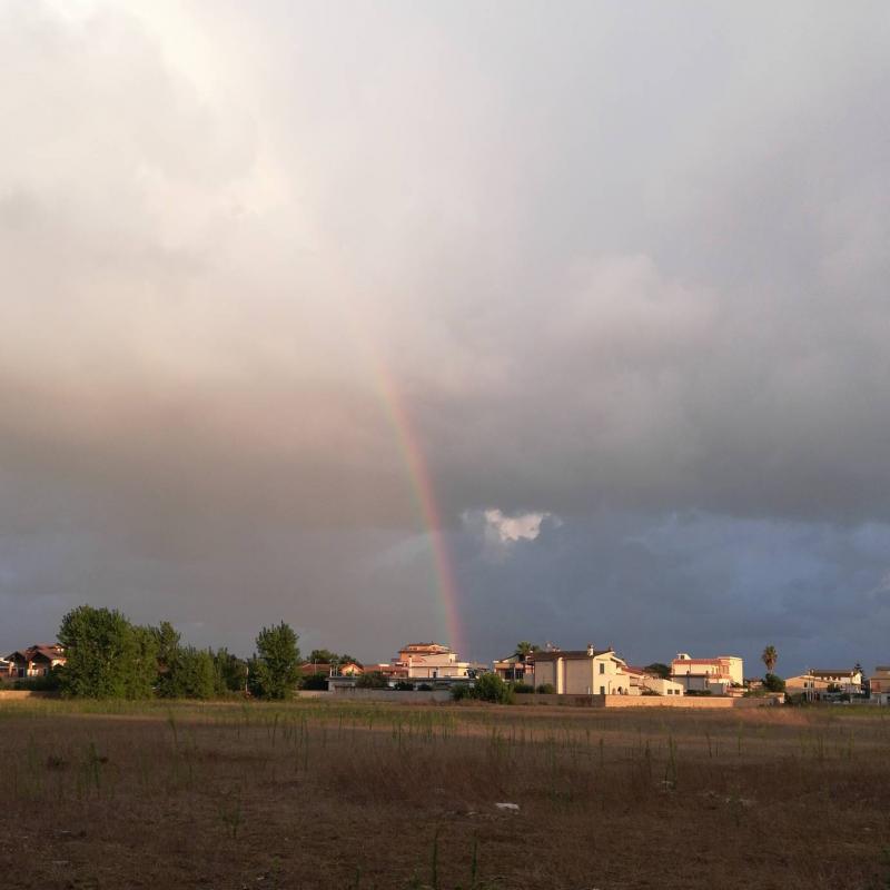 Fotosegnalazione di Fiumicino