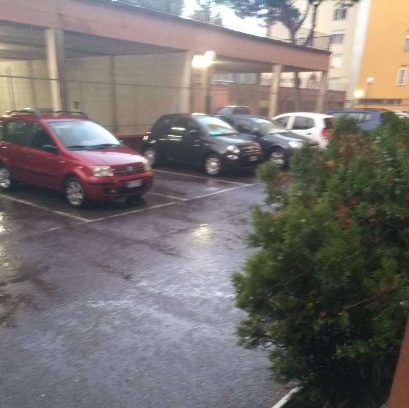 Fotosegnalazione di Roma fidene
