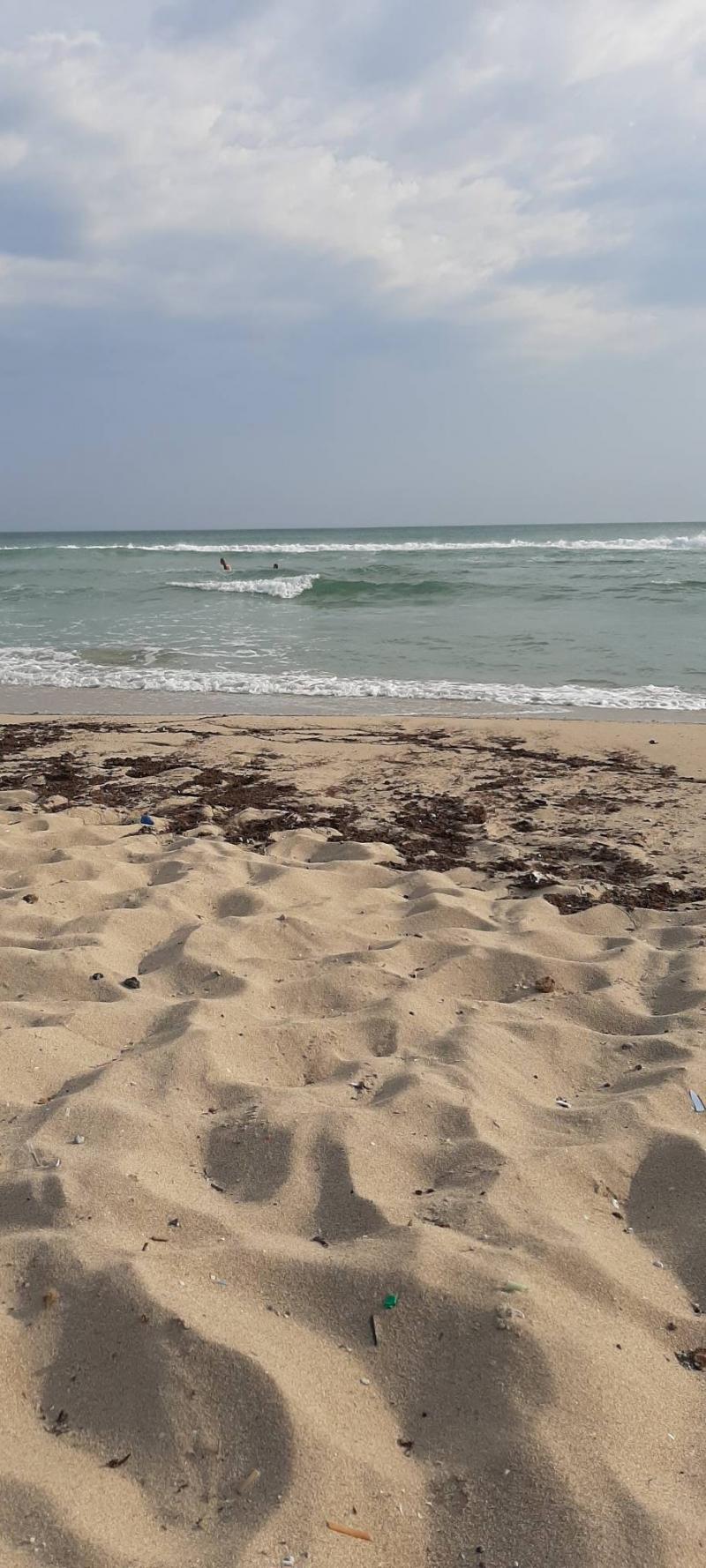 Oggi ondone divertenti