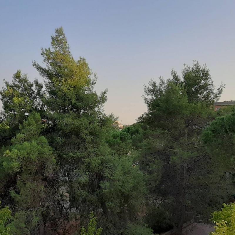 Fotosegnalazione di Roma monte sacro