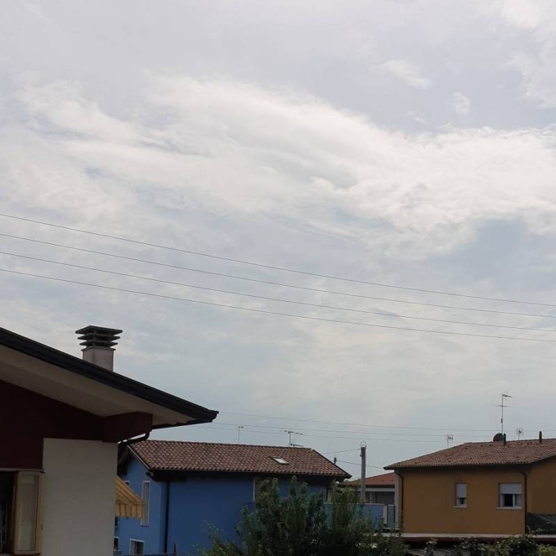 Fotosegnalazione di Zero branco