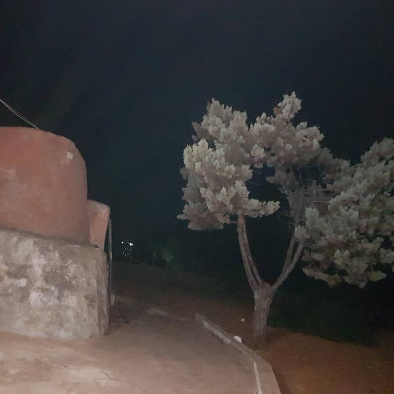 Fotosegnalazione di Francavilla fontana