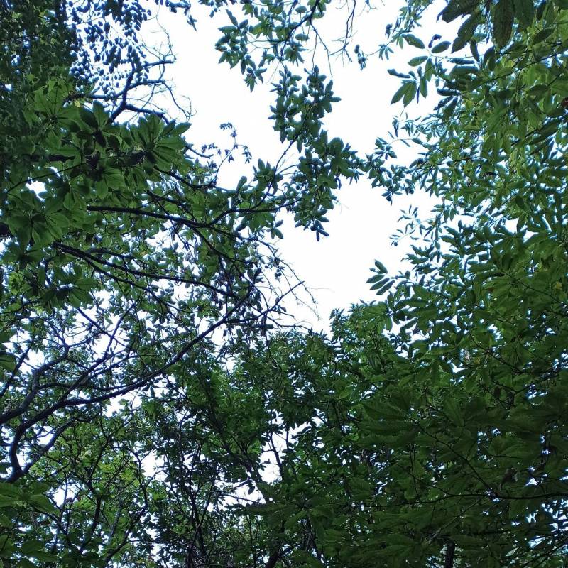 Fotosegnalazione di Teglio