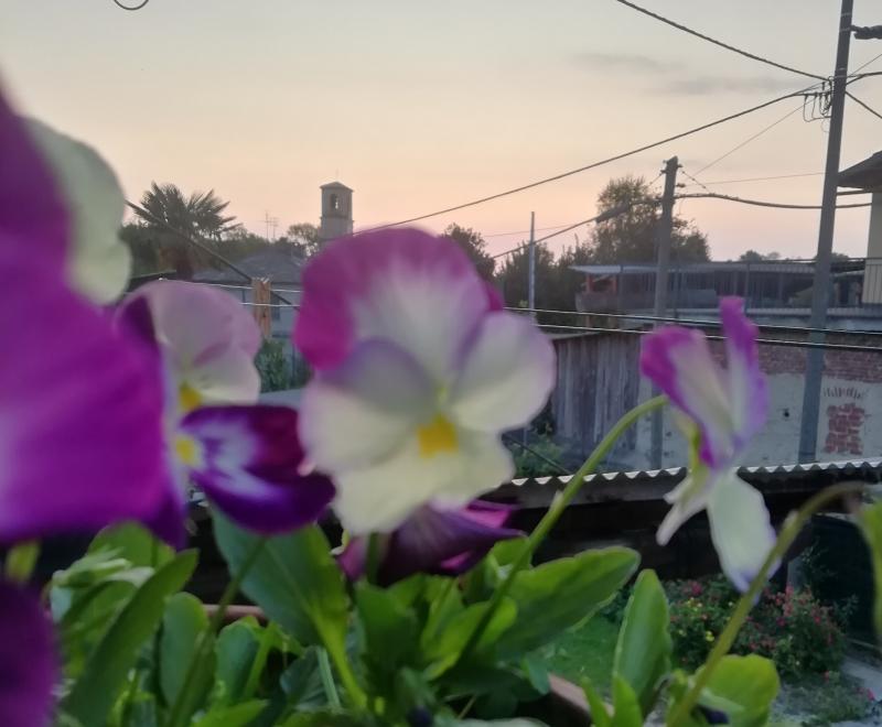 Paesaggio mattutino