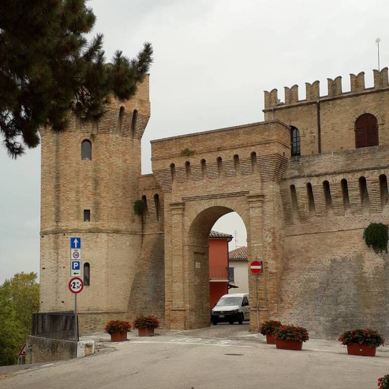 Fotosegnalazione di Barbara