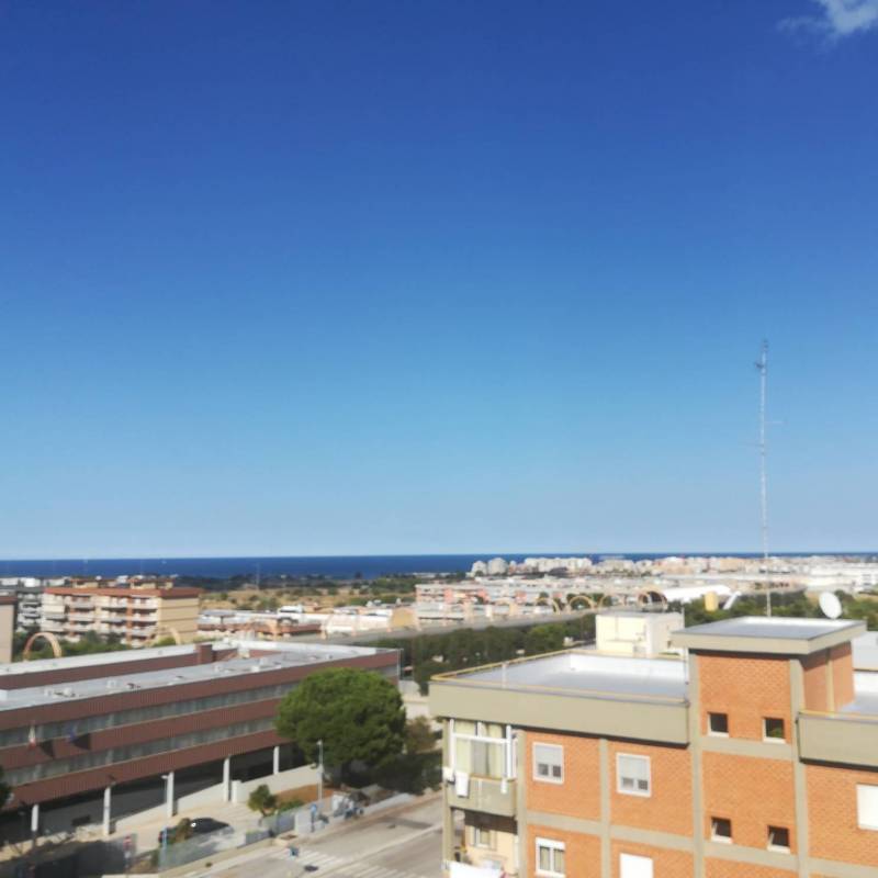Fotosegnalazione di Palese-macchie