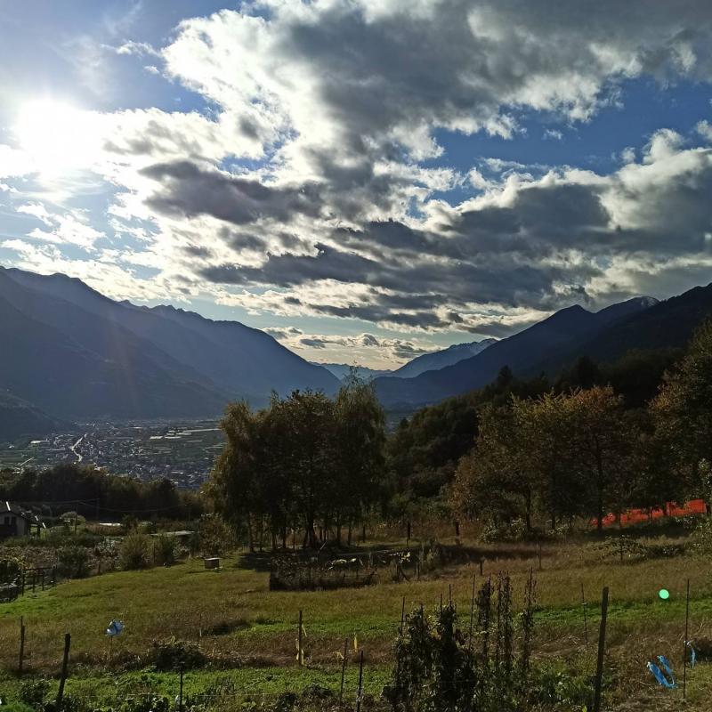 Fotosegnalazione di Teglio