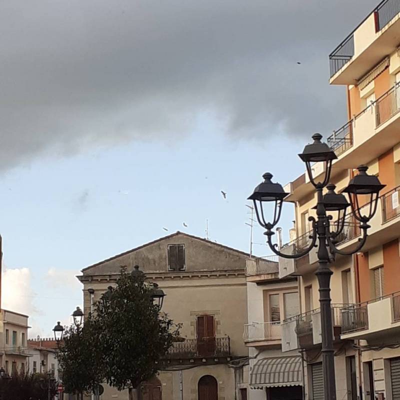 Fotosegnalazione di Pozzomaggiore