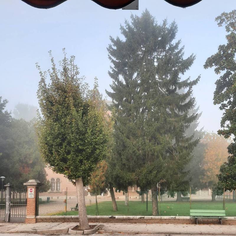 Fotosegnalazione di Piacenza d'adige