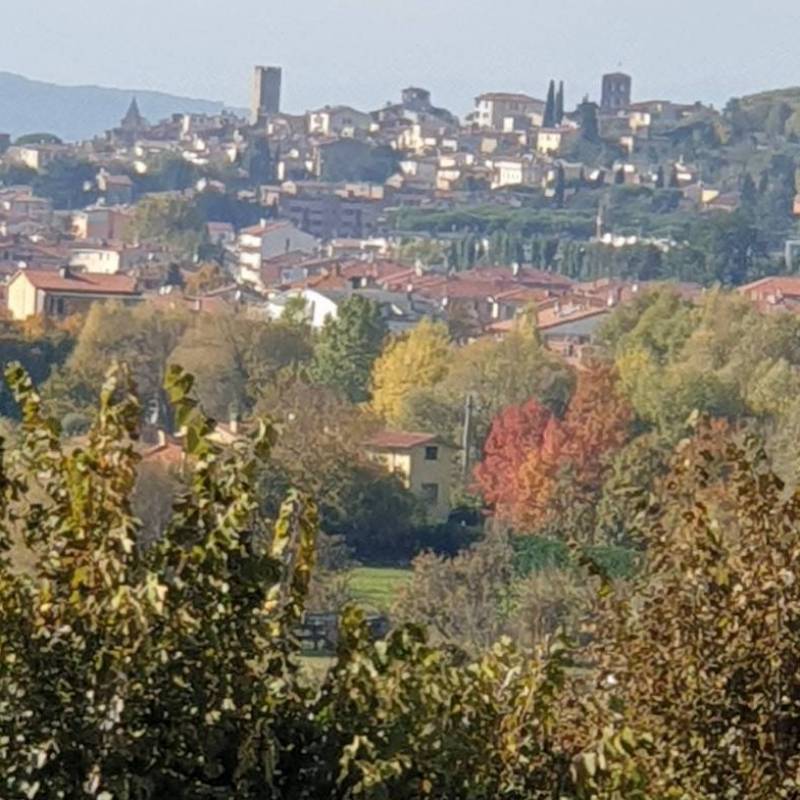 Fotosegnalazione di Arezzo