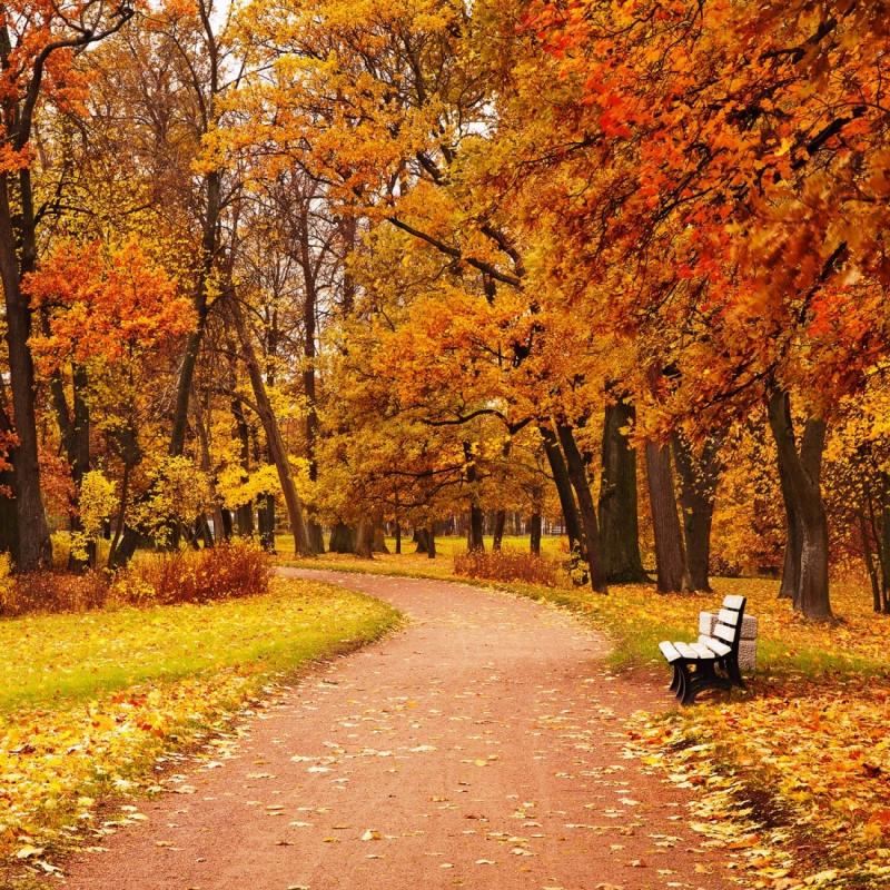 I bei colori d'autunno