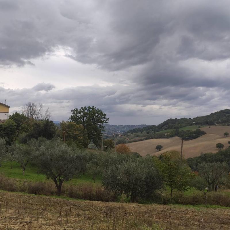 Fotosegnalazione di Tolentino