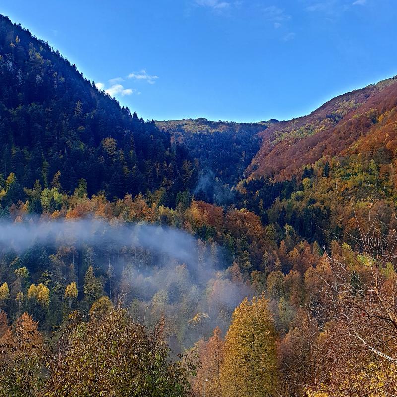 In autunno con meggiana in vista