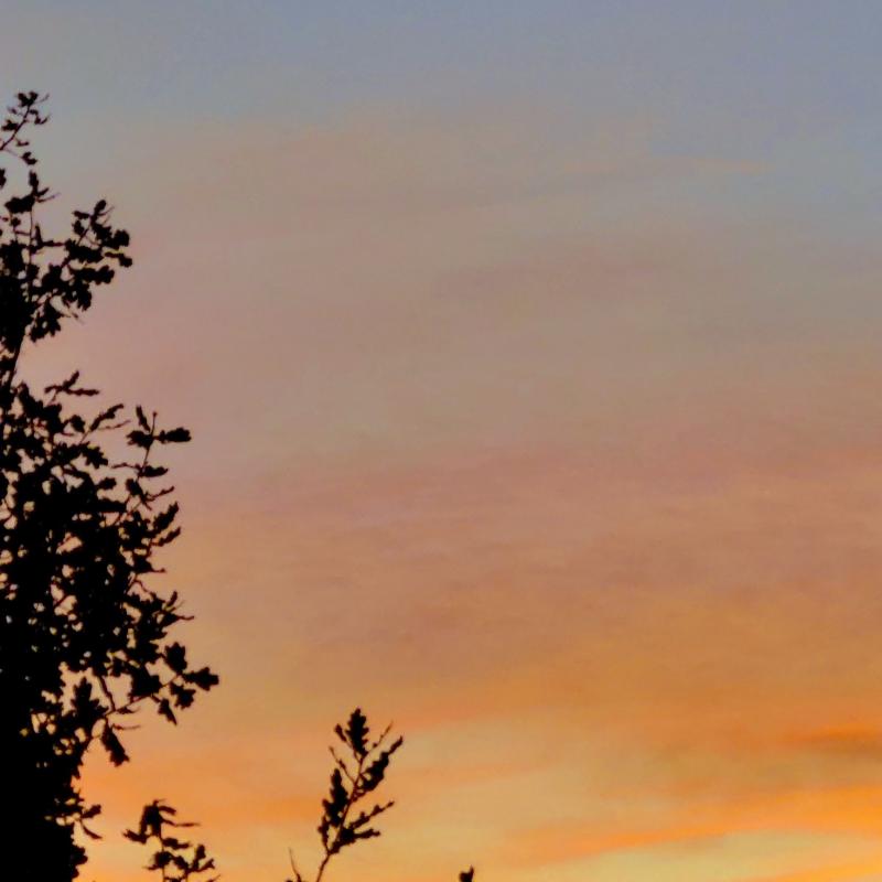 Alba del 31 ottobre