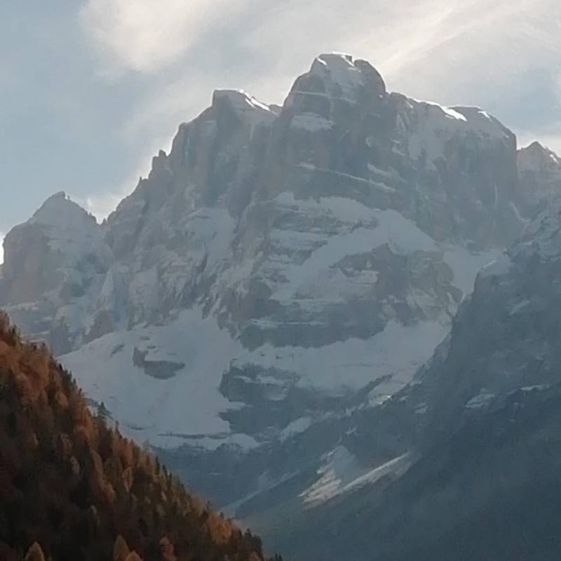 Fotosegnalazione di Palu' di madonna di campiglio