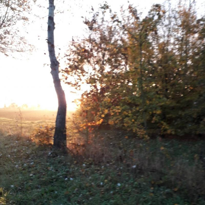 Fotosegnalazione di Sant'ilario d'enza