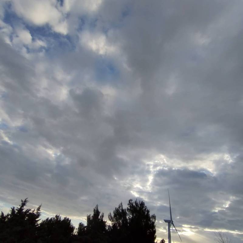 Fotosegnalazione di Ginestra degli schiavoni