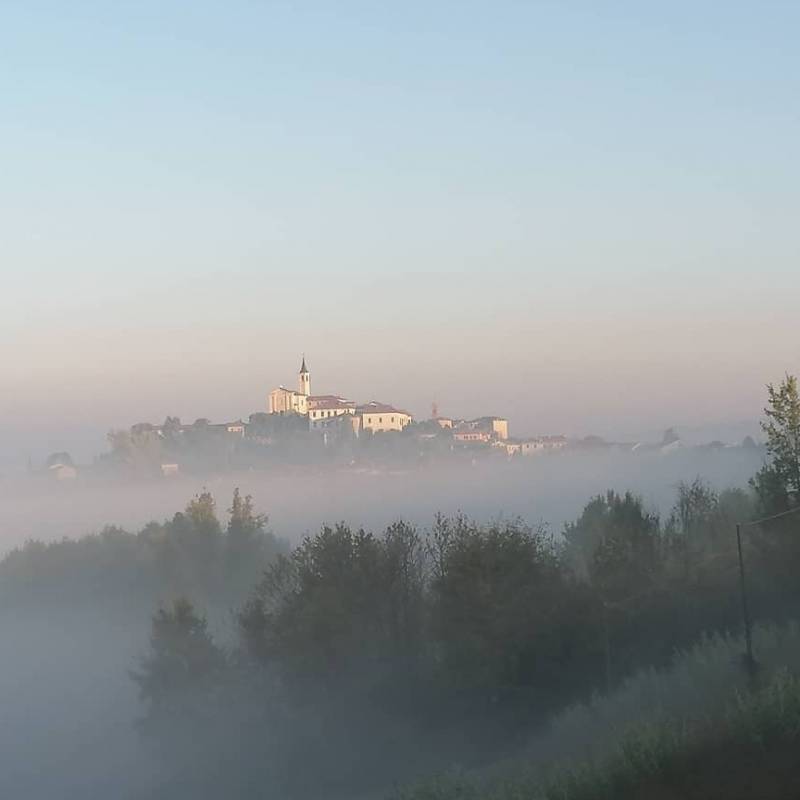 Foto del 19 novembre 2020