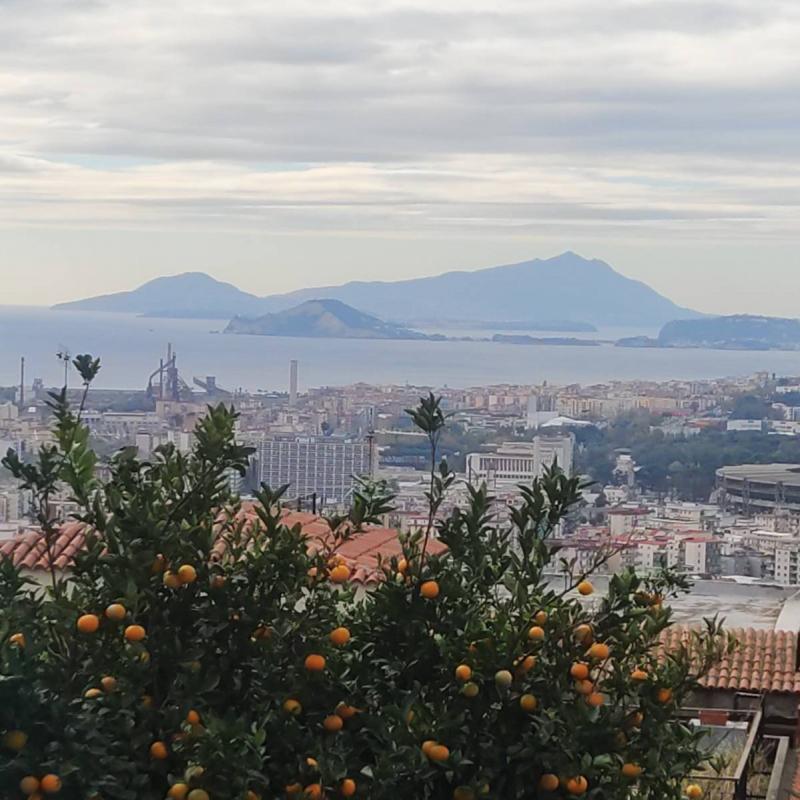 Fotosegnalazione di Napoli chiaia