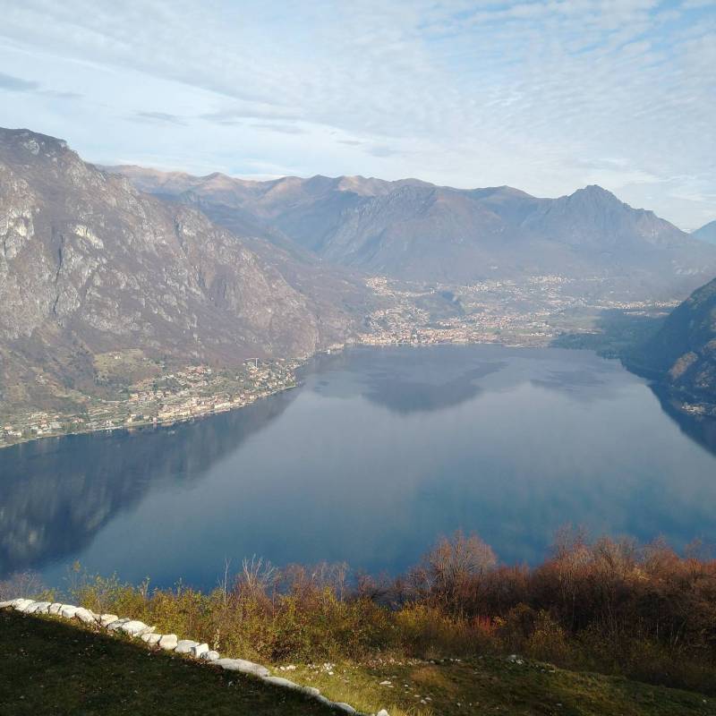Fotosegnalazione di Ramponio verna
