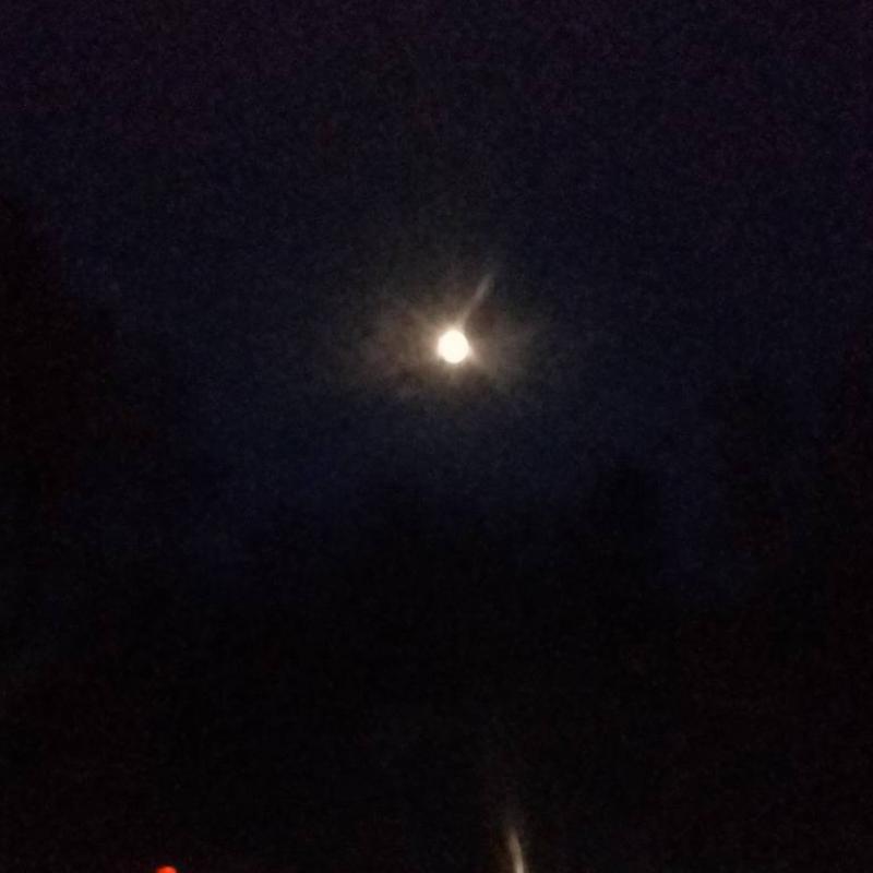 Fotosegnalazione di Pontinvrea