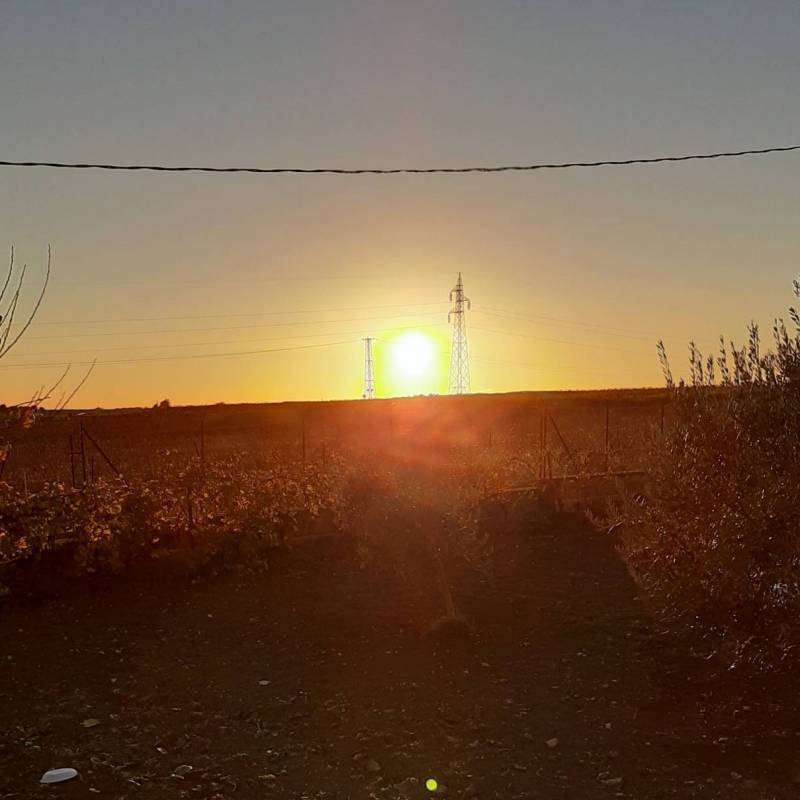 Menfi 30112020 tramonto contrada puccia