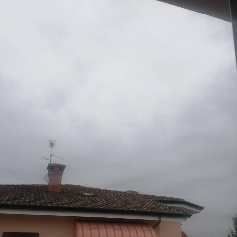 Fotosegnalazione di Gonzaga