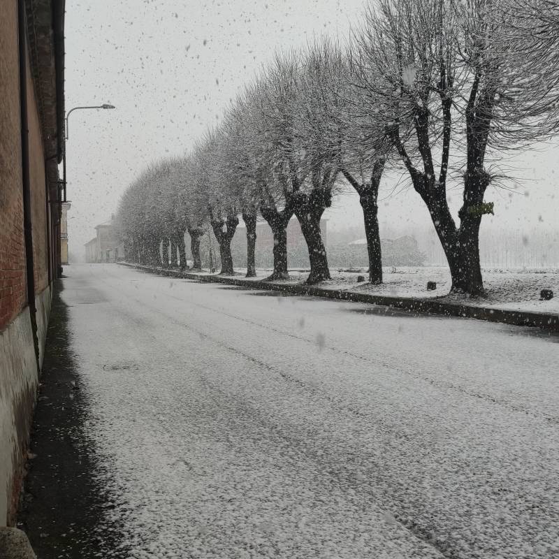 Neve ad