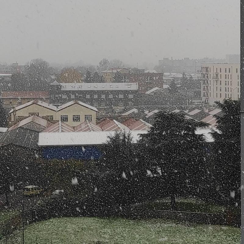 Fotosegnalazione di Milano barona