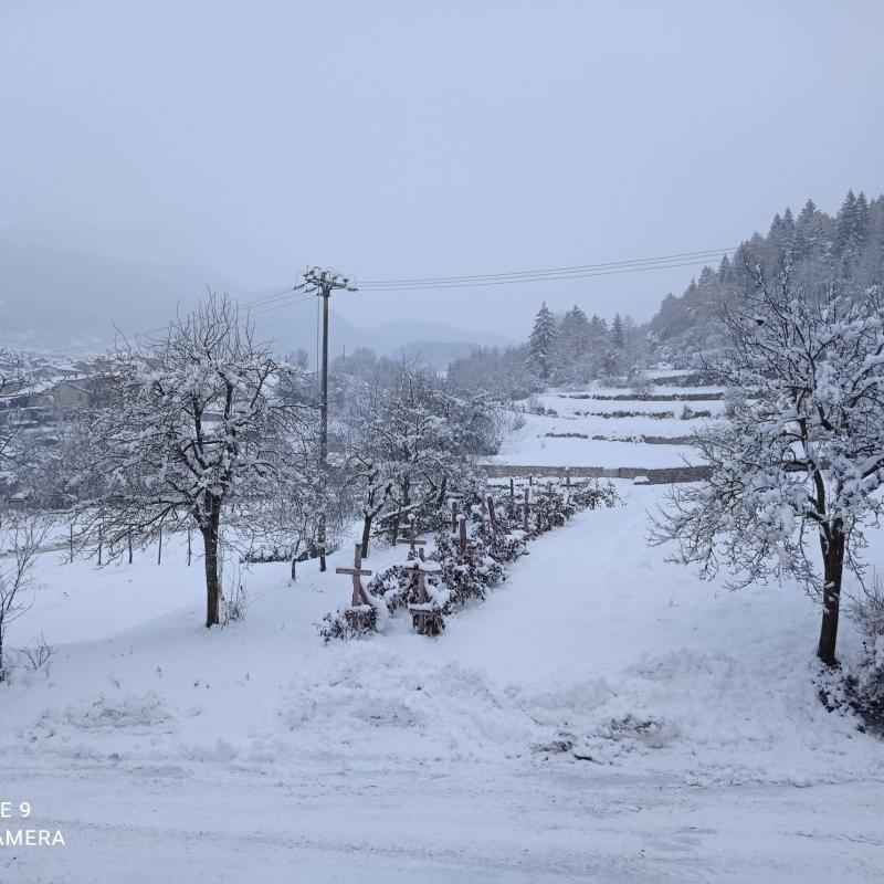 Fotosegnalazione di Ronzo chienis