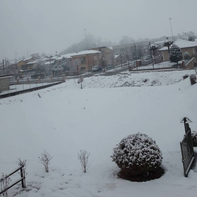 Fotosegnalazione di Magliano alpi