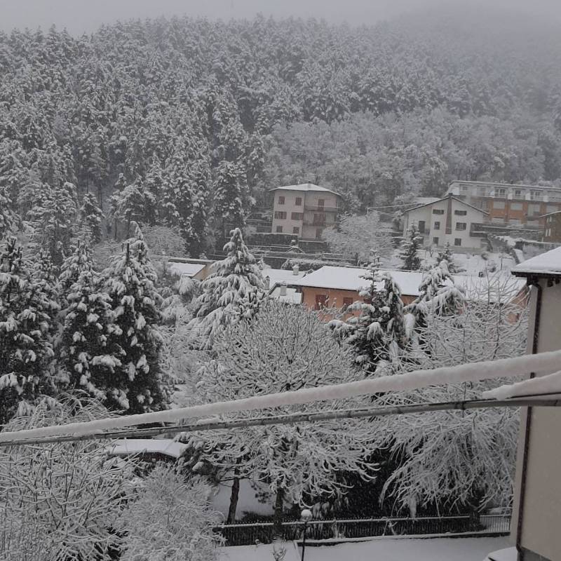 8 dicembre