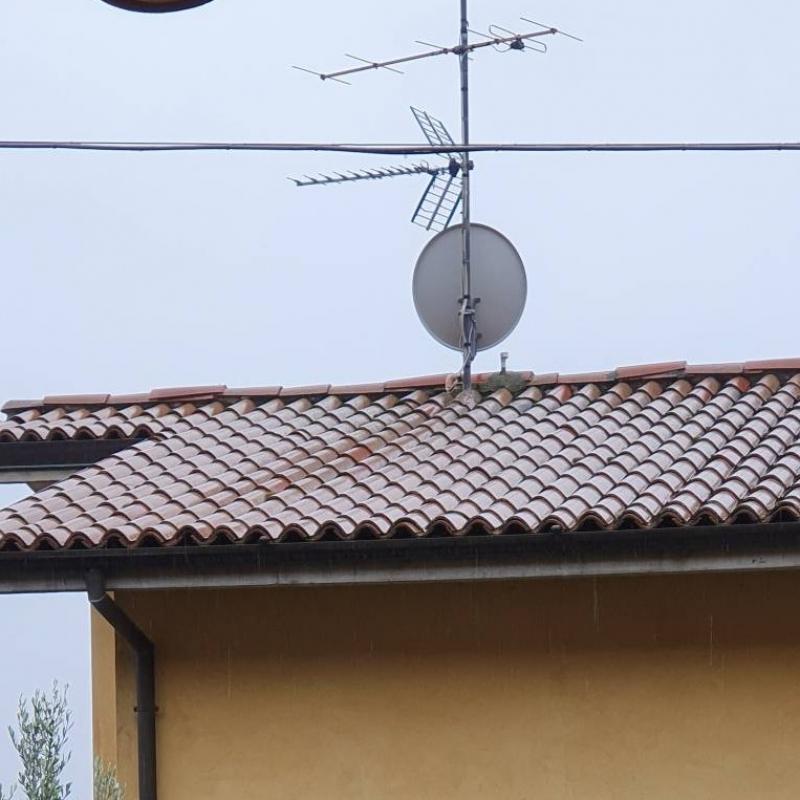 Fotosegnalazione di Rodengo saiano