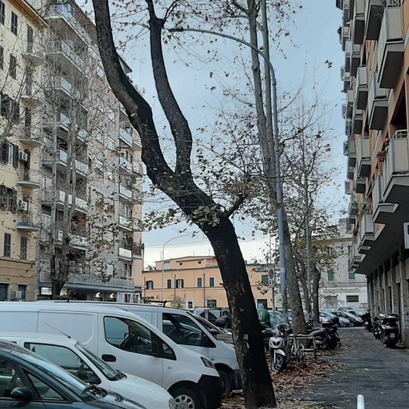 Fotosegnalazione di Roma prenestino