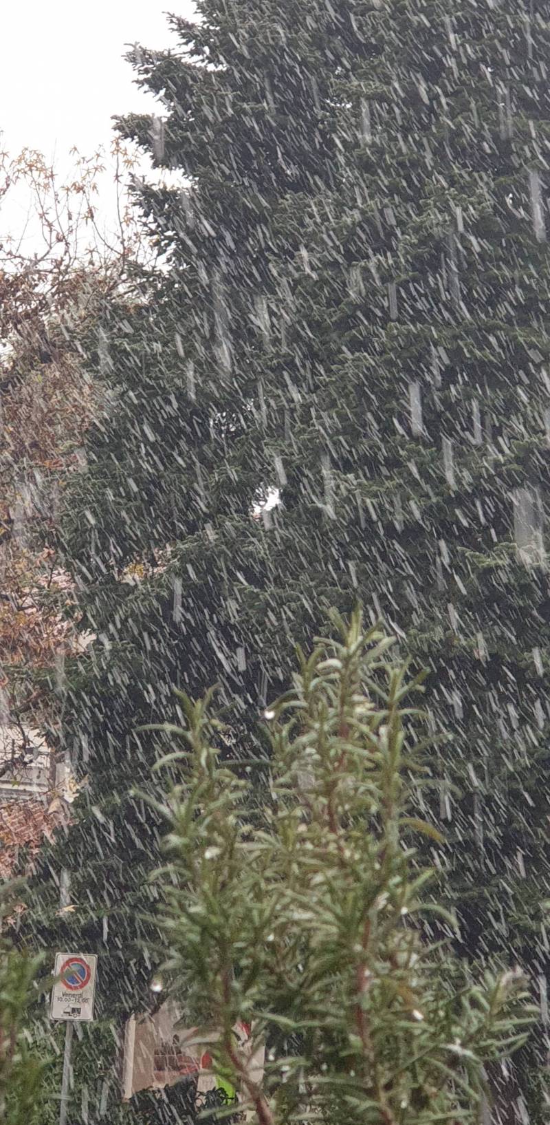 Un po di neve