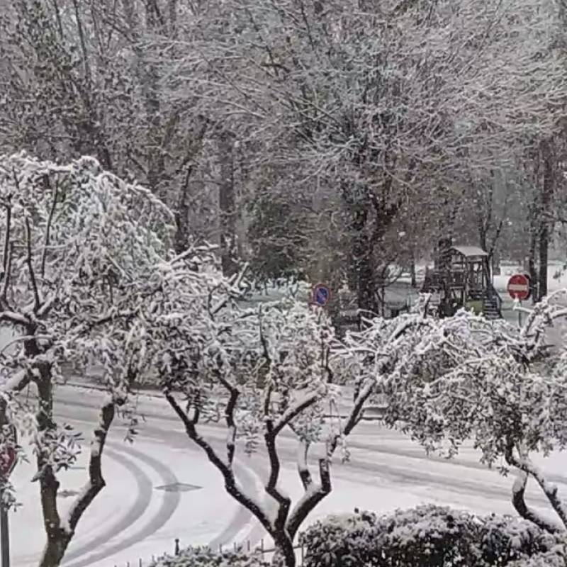 Prima neve del 2020
