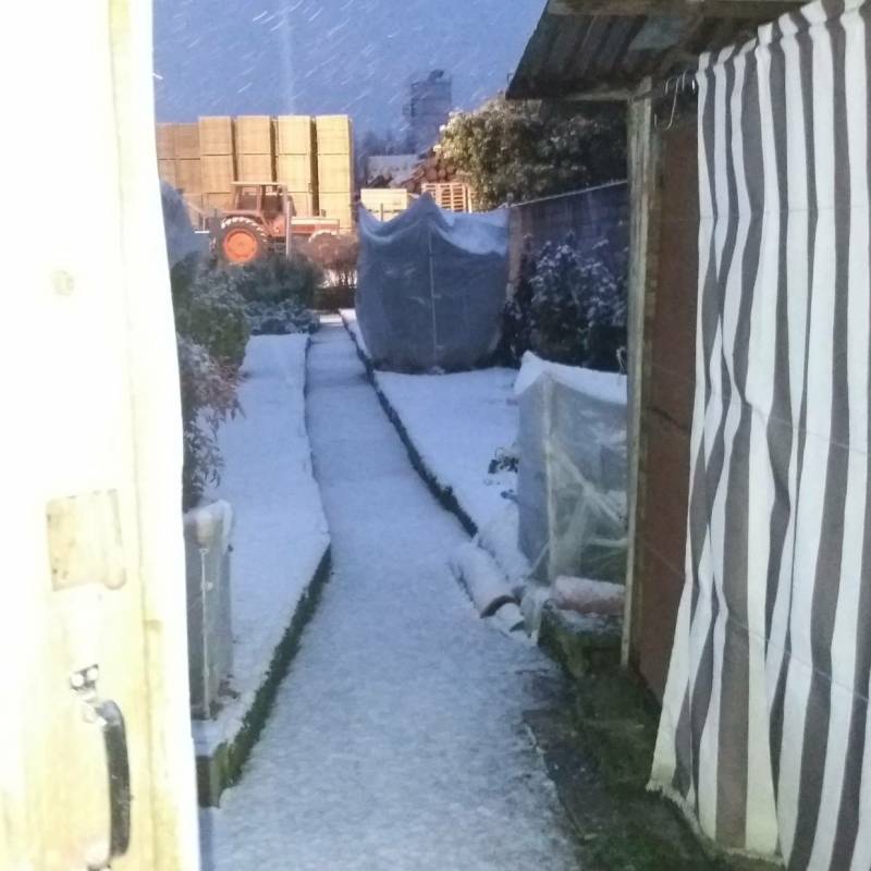Nevica dalle ore 6 di questa mattina