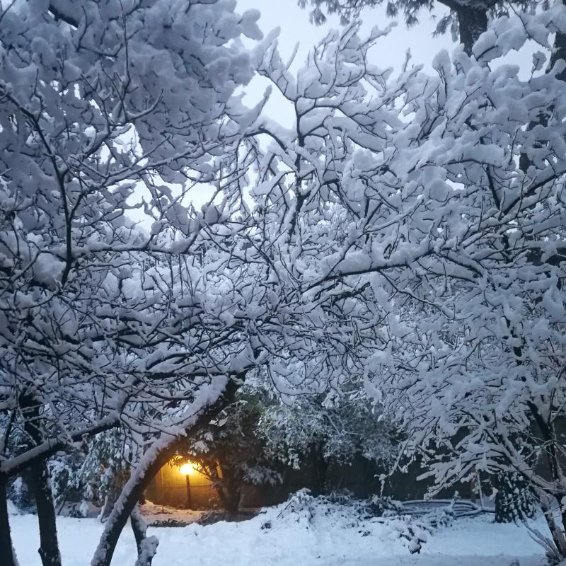 Finalmente la neve