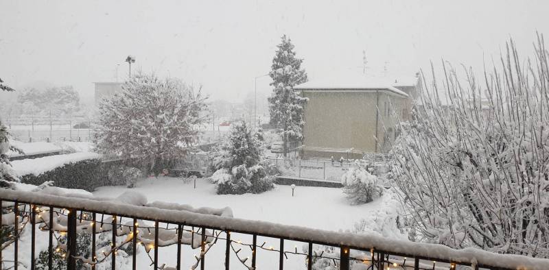 La neve e la sua bellezza