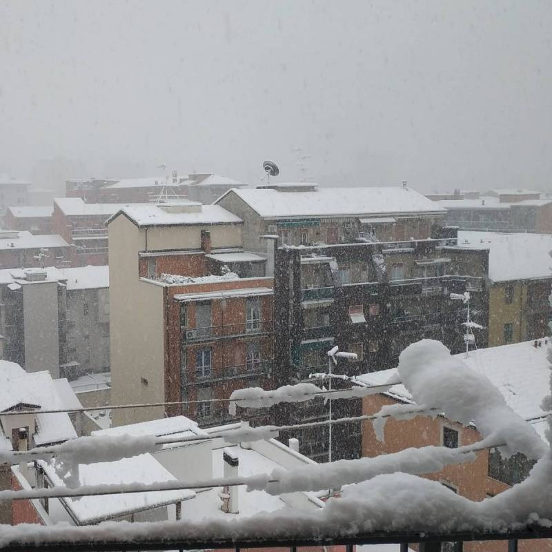 Fotosegnalazione di Sesto san giovanni