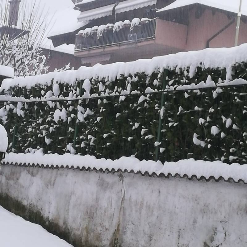 Nevica a salice 28 12 2020