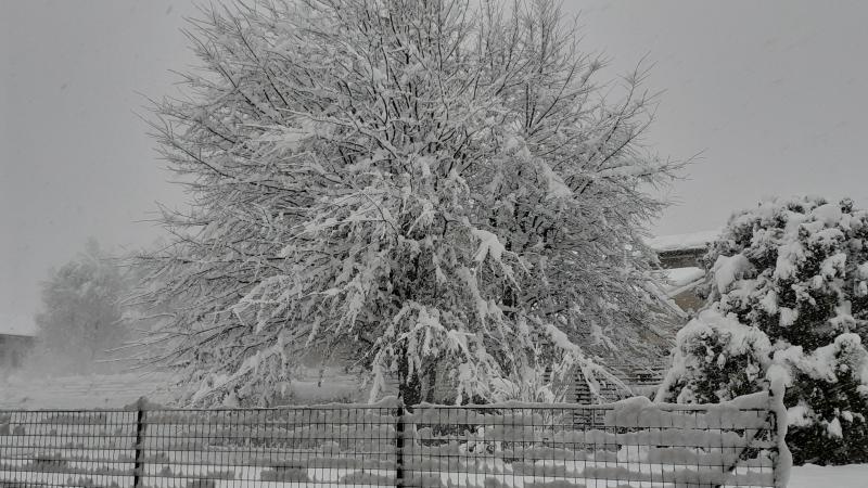 Aggiornamento ore 10. raggiunti 30 cm