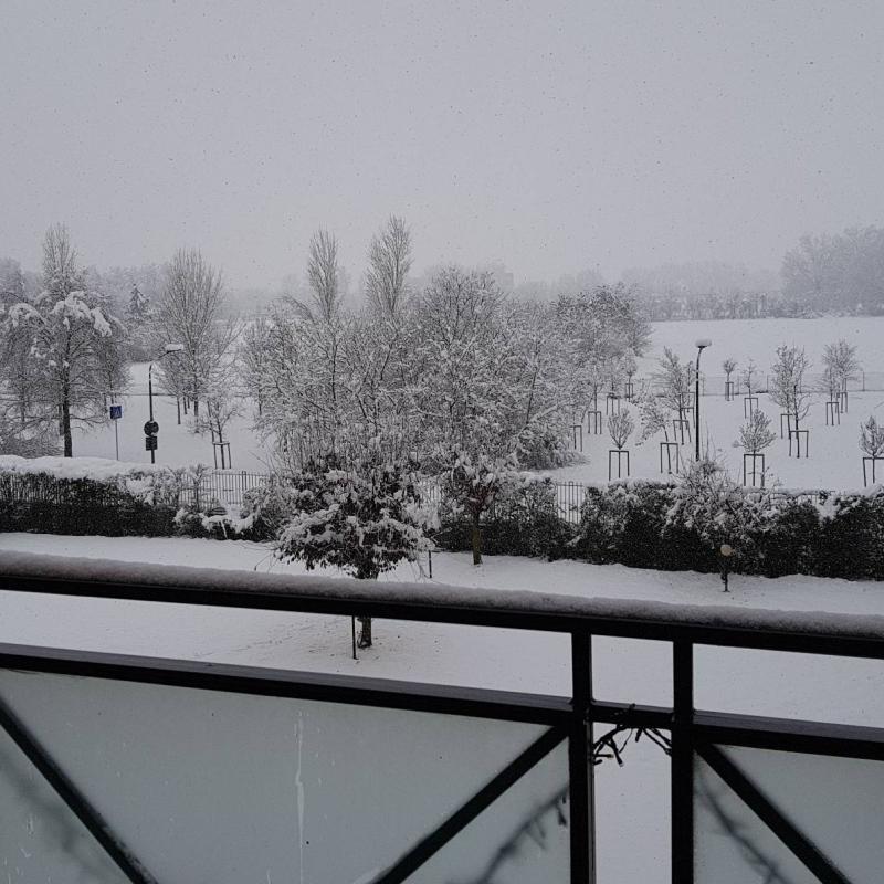 Fotosegnalazione di Milano baggio